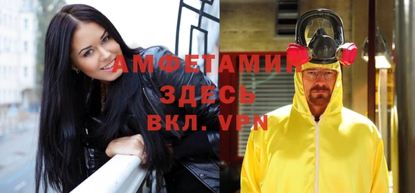 молекула духа Алексеевка