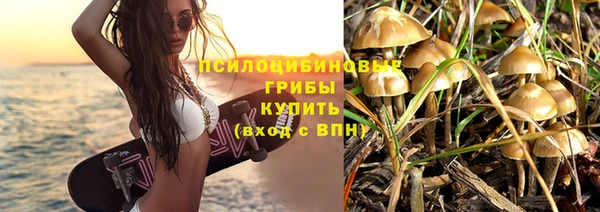 молекула духа Алексеевка