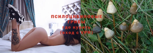 круглые Алексин